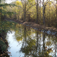 GT Erdbau Wasserbau